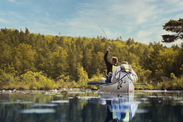 The Canoe Trip